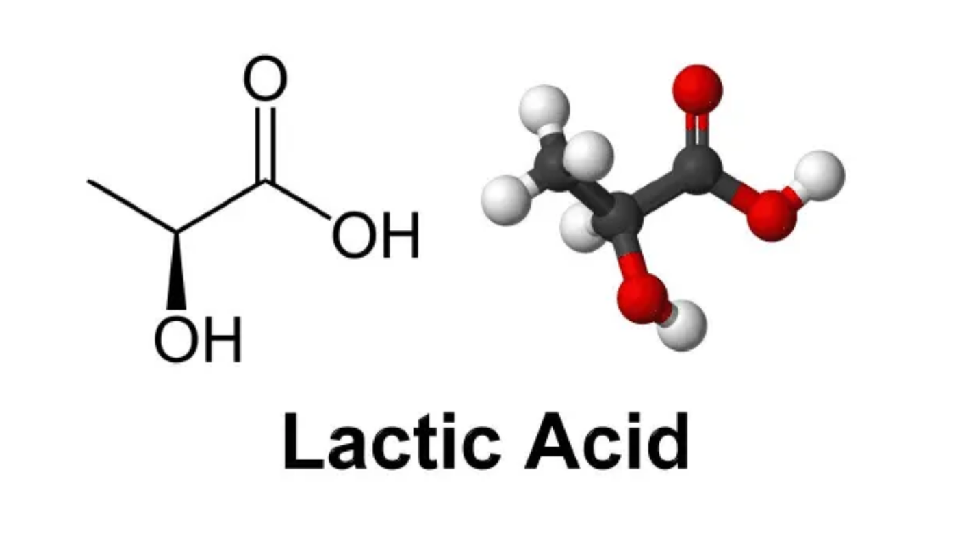 Lactic acid application in food and feed industry