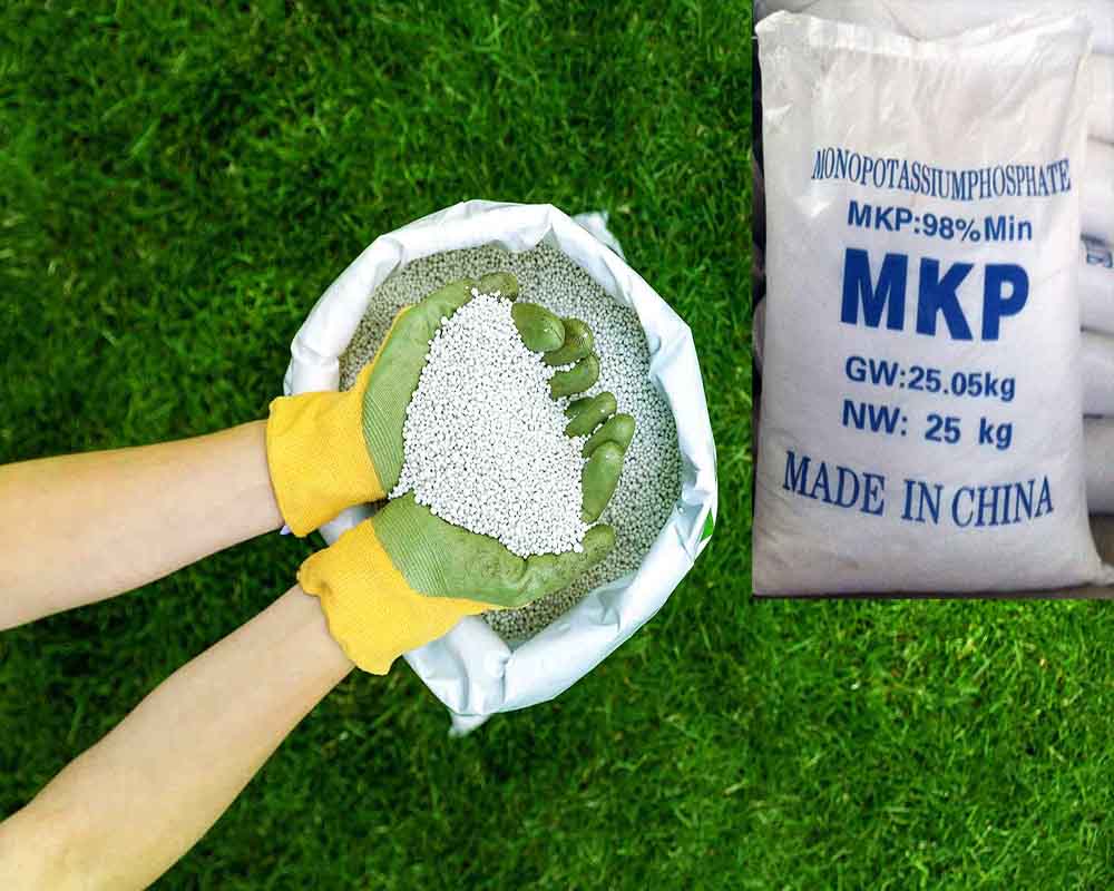 Mono Potassium Phosphate (MKP) Fertilizer – High Purity, Water-Soluble P₂O₅ & K₂O Source
