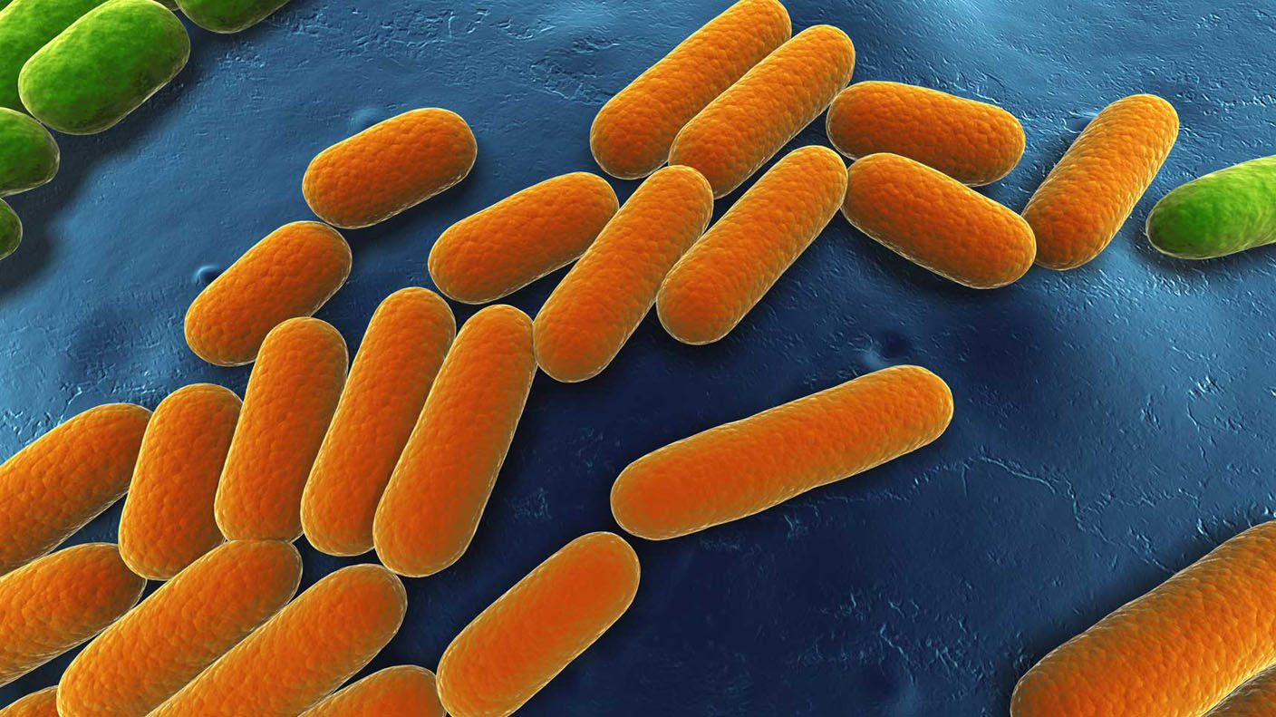 Nutrient supplement of inorganic salts in Fermentation