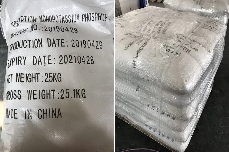 High-Quality Monopotassium Phosphite Manufacturer | Plant Growth Enhancer Supplier
