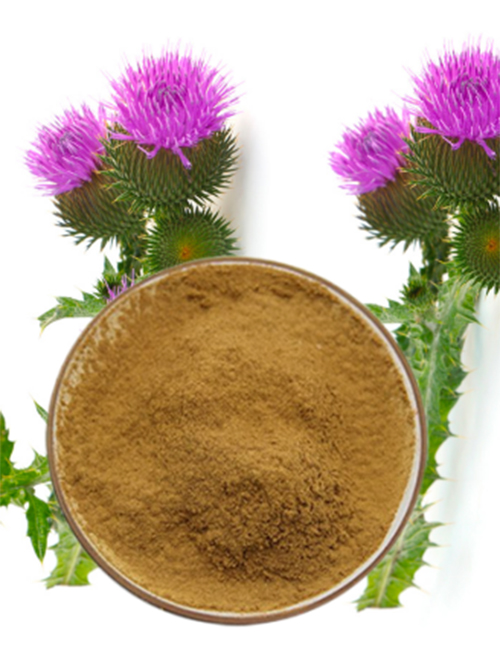 The Health Benefits of Silymarin: A Powerful Natural Liver Protector