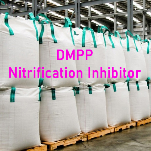 DMPP: An Efficient Nitrification Inhibitor for Sustainable Agriculture