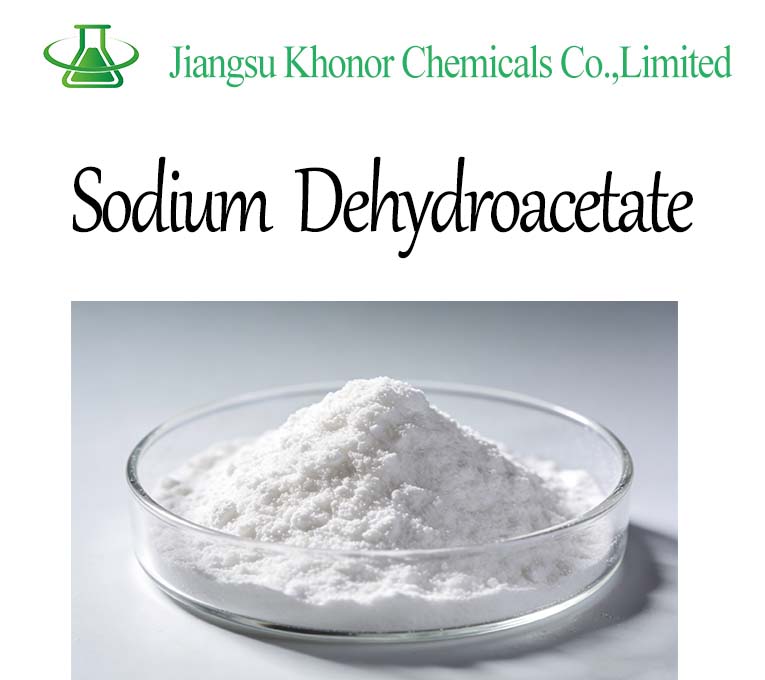 Sodium Dehydroacetate Supplier | Food Preservative Bulk