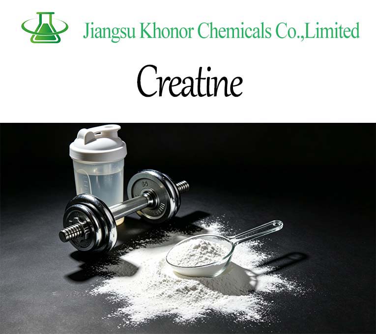 Creatine – Sports Nutrition & Feed Additive Supplier