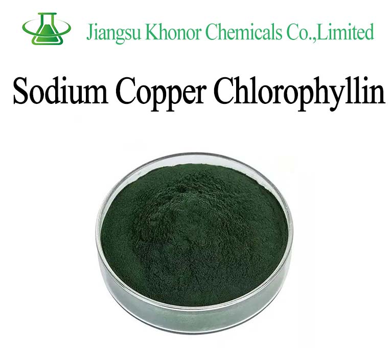 🌿 Sodium Copper Chlorophyllin Powder | Supplier & Bulk Supply Looking for a