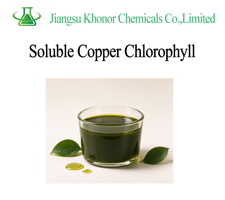 Oil Soluble Copper Chlorophyll | Natural Stable Green Pigment for Oil-Based Formulations