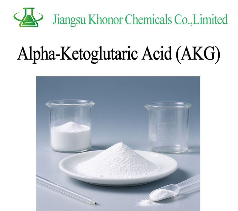 Alpha-Ketoglutaric Acid (AKG) Powder | Nutritional & Biochemical Applications