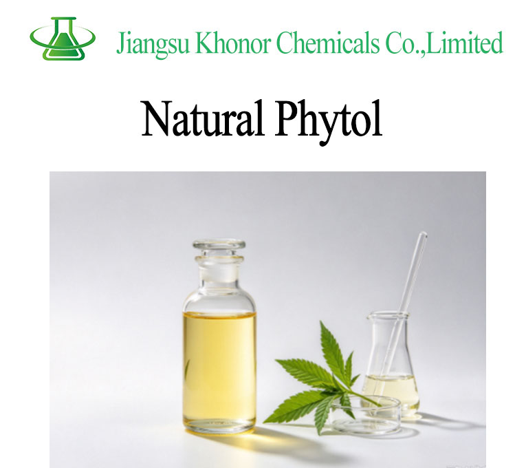 Natural Phytol | Plant Extracted Phytol 